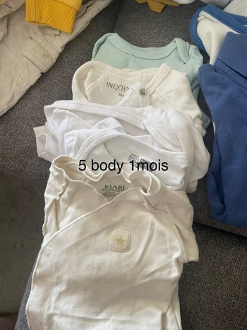 Lot body manche courts