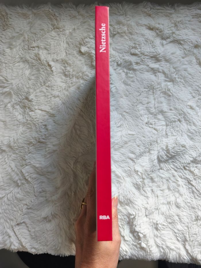 Nietzsche apprendre à philosopher - photo numéro 2