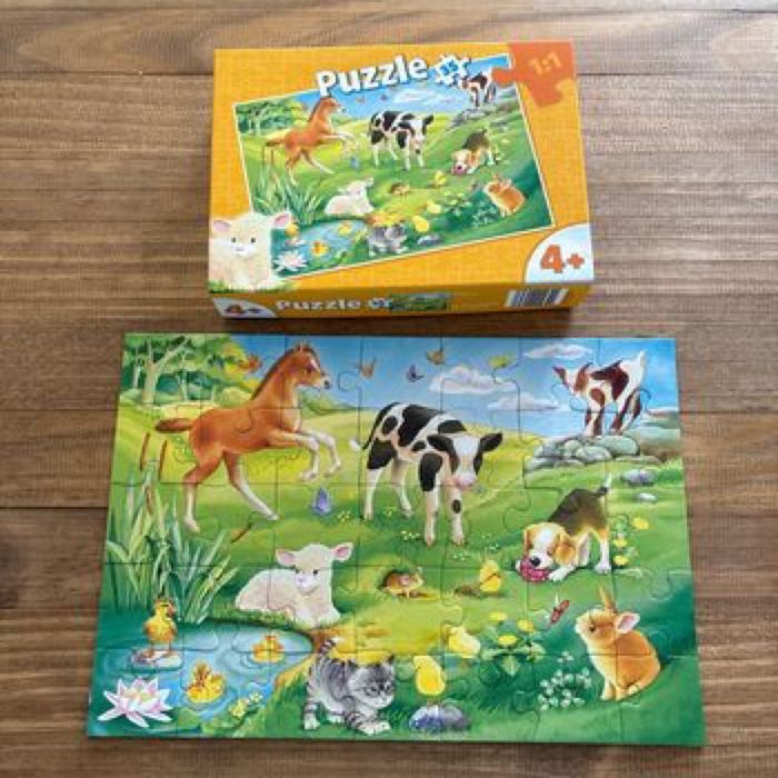 Puzzle - photo numéro 2