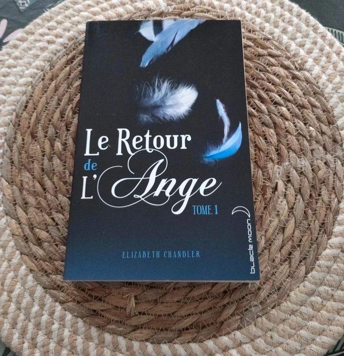 Livre Le retour de l'ange Elizabeth Chandler