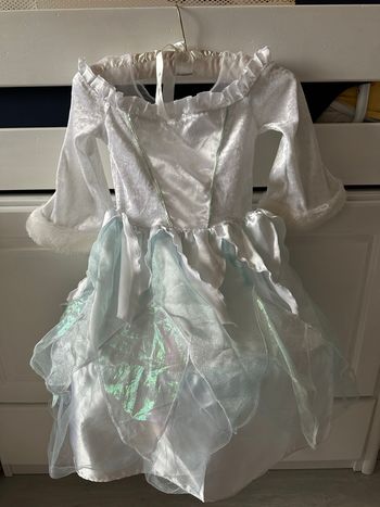 Robe reine des neiges