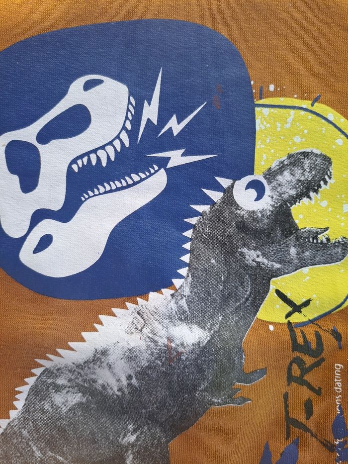 Sweat "T-Rex" - photo numéro 4