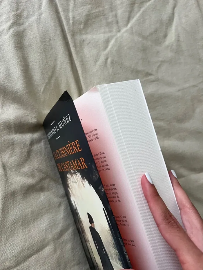 Livre la cuisinière de Castamar - photo numéro 7