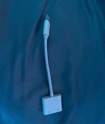 Adaptateur Apple