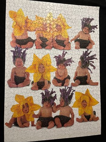 Puzzle Anne Geddes