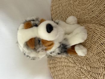 Gipsy Toys - Chien Berger Australien Assis - - Blanc - Marron - Gris - Noir