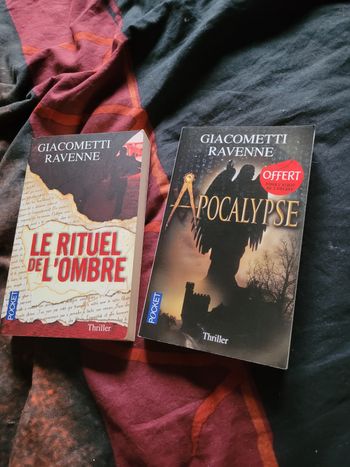 Livre de Giacometti Ravenne