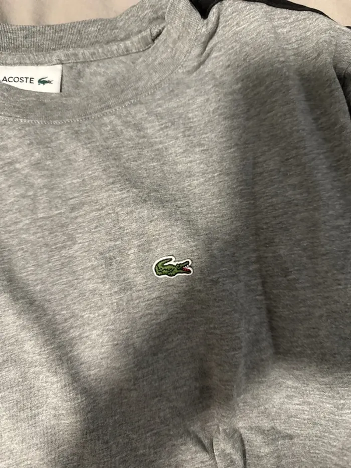 Tshirt lacoste 12 and - photo numéro 2