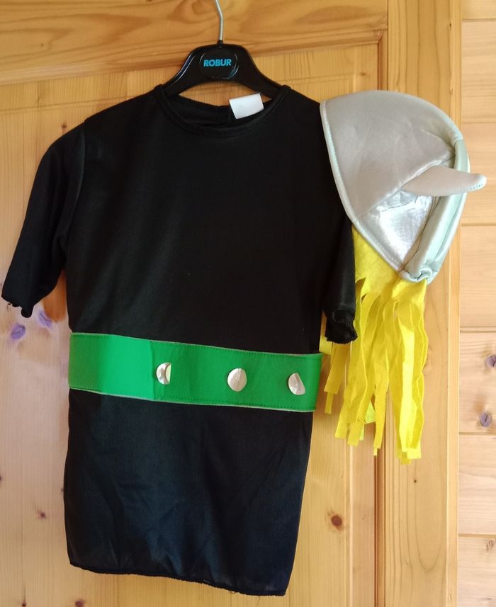 Déguisement Astérix