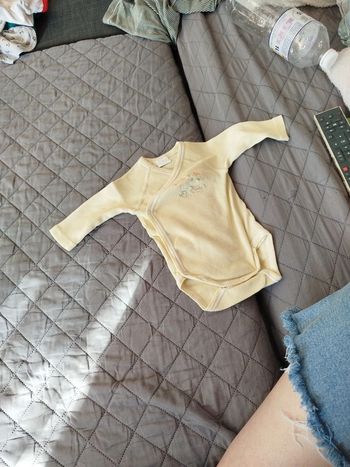 Bodie croisé 3 mois