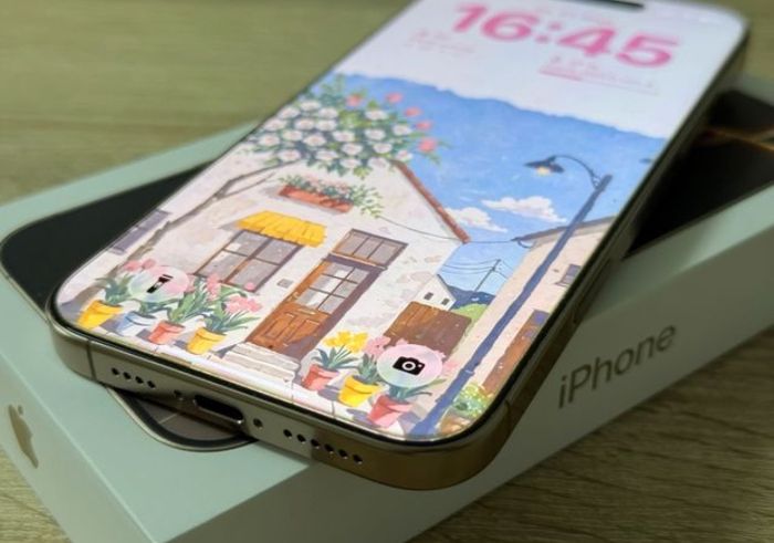 16 pro max - photo numéro 4