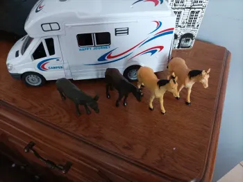 camionnette van avec 4 chevaux 