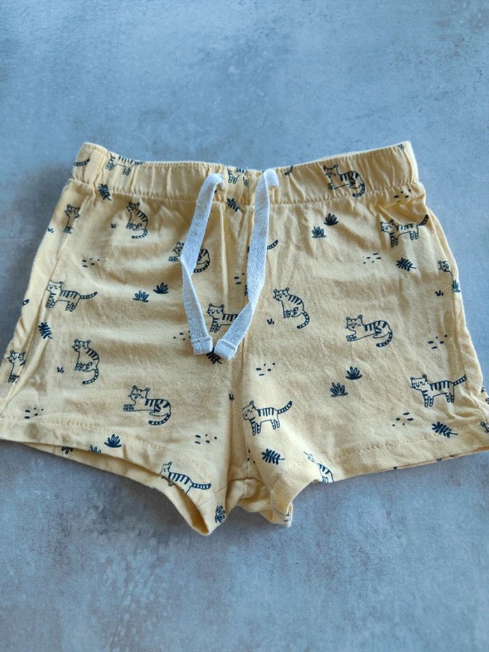 Short animaux