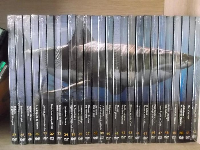 DVD collections animaux - photo numéro 5