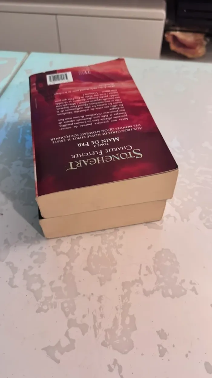 📚 Lot de 2 livres – Stoneheart (Tome 1 & Tome 2 : Main de Fer)  Charlie Fletcher – Éditions Hachette - photo numéro 4
