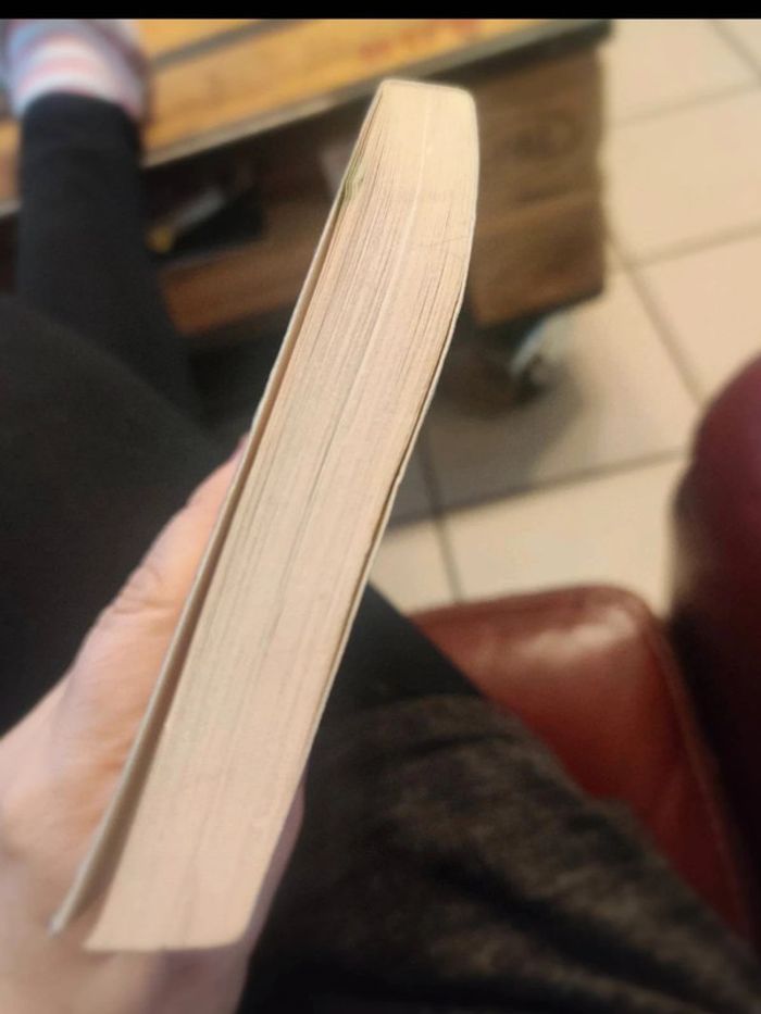 Sauvez Willy 2 Castor poche junior - photo numéro 6