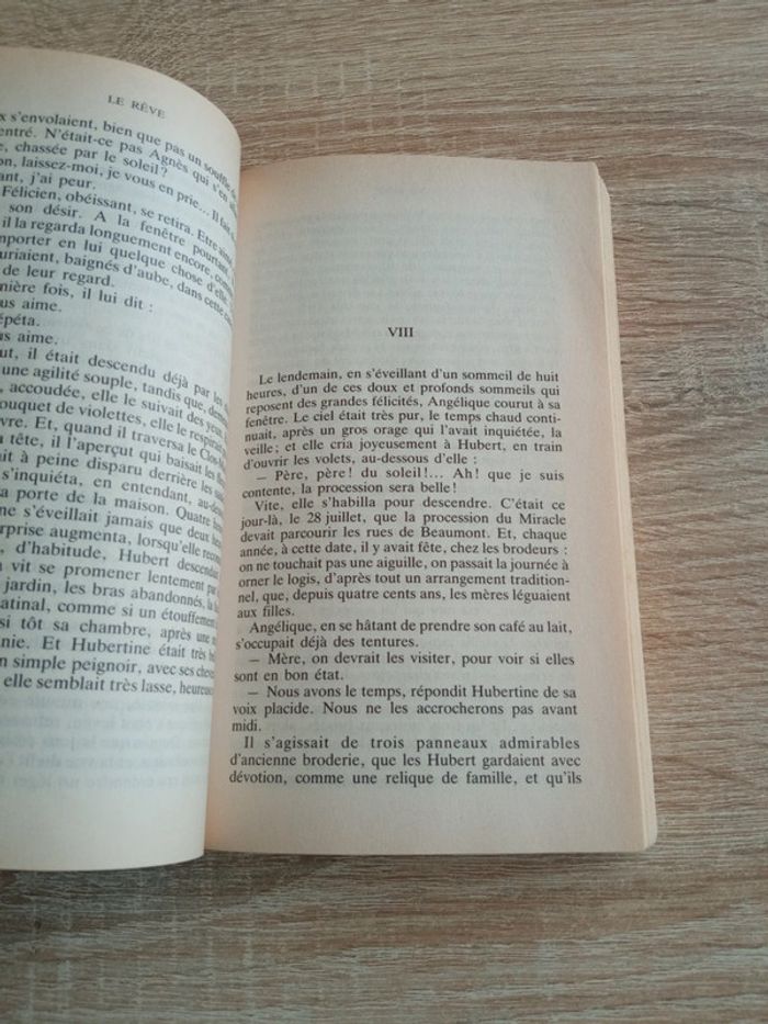 Le rêve - Émile Zola - photo numéro 4