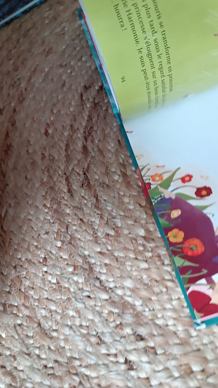 Livres princesses et fée - photo numéro 5