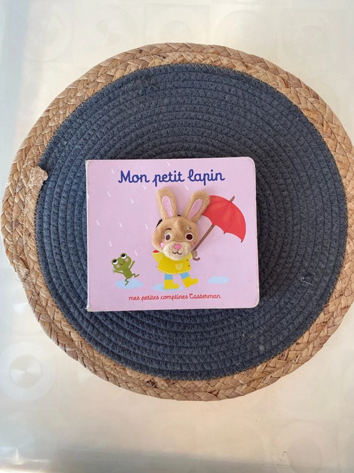 Livre bébé / enfant mon petit lapin