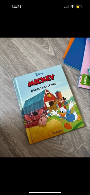 livre mickey