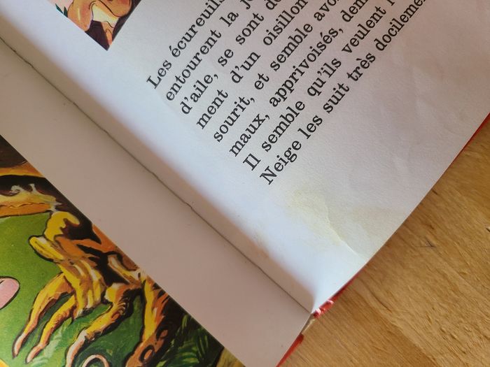 Blanche neige et les 7 nains - photo numéro 9