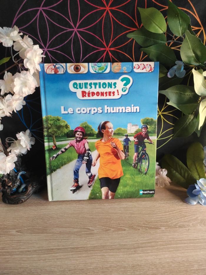 Le corps humain – Questions / Réponses – Nathan
