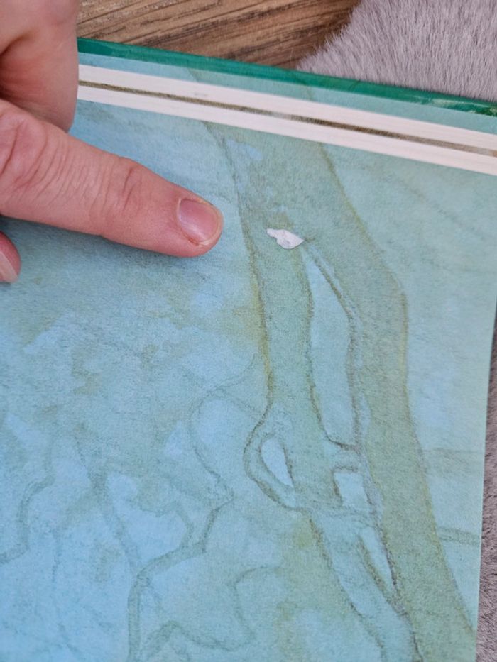 Livre Les intrépides de Tony Kerins - photo numéro 10