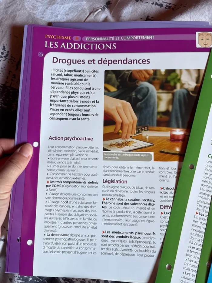 Lots de fiches anatomie physiologie santé - photo numéro 7