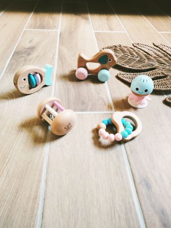 🐶 Lot 5 jouets sensoriels premier âge animaux en bois marque Hape 