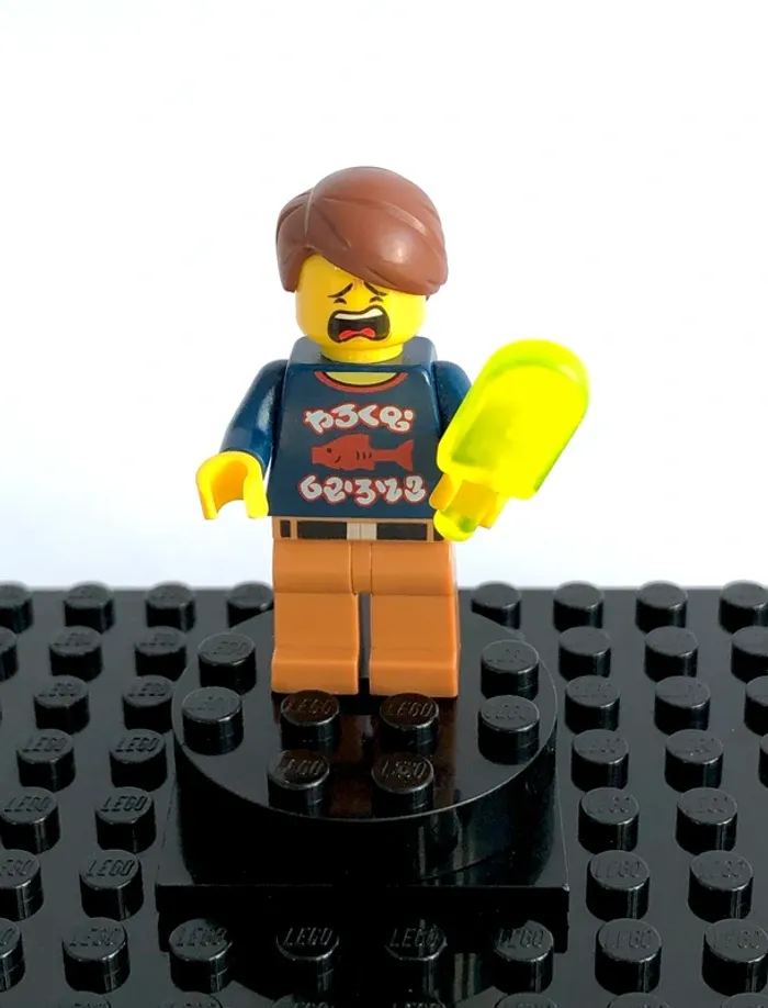 The LEGO Ninjago Movie - Henry