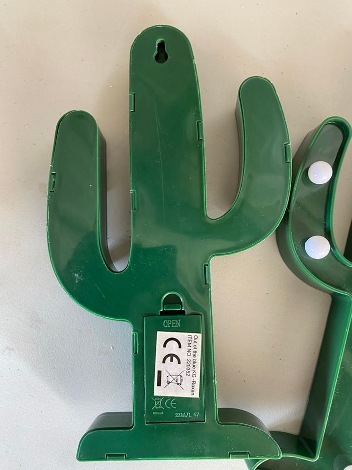 Cactus - photo numéro 7