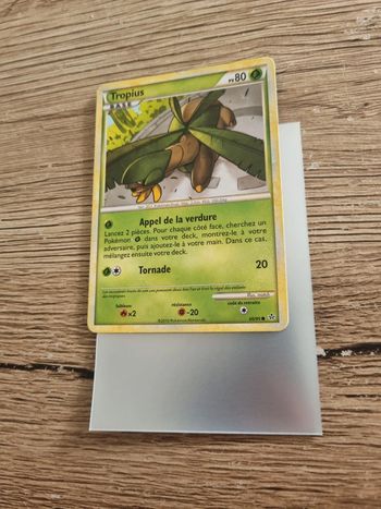 Carte pokémon tropius 66/95 année 2010