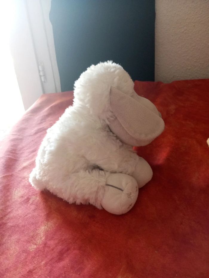 Mouton blanc Nicotoy - photo numéro 4