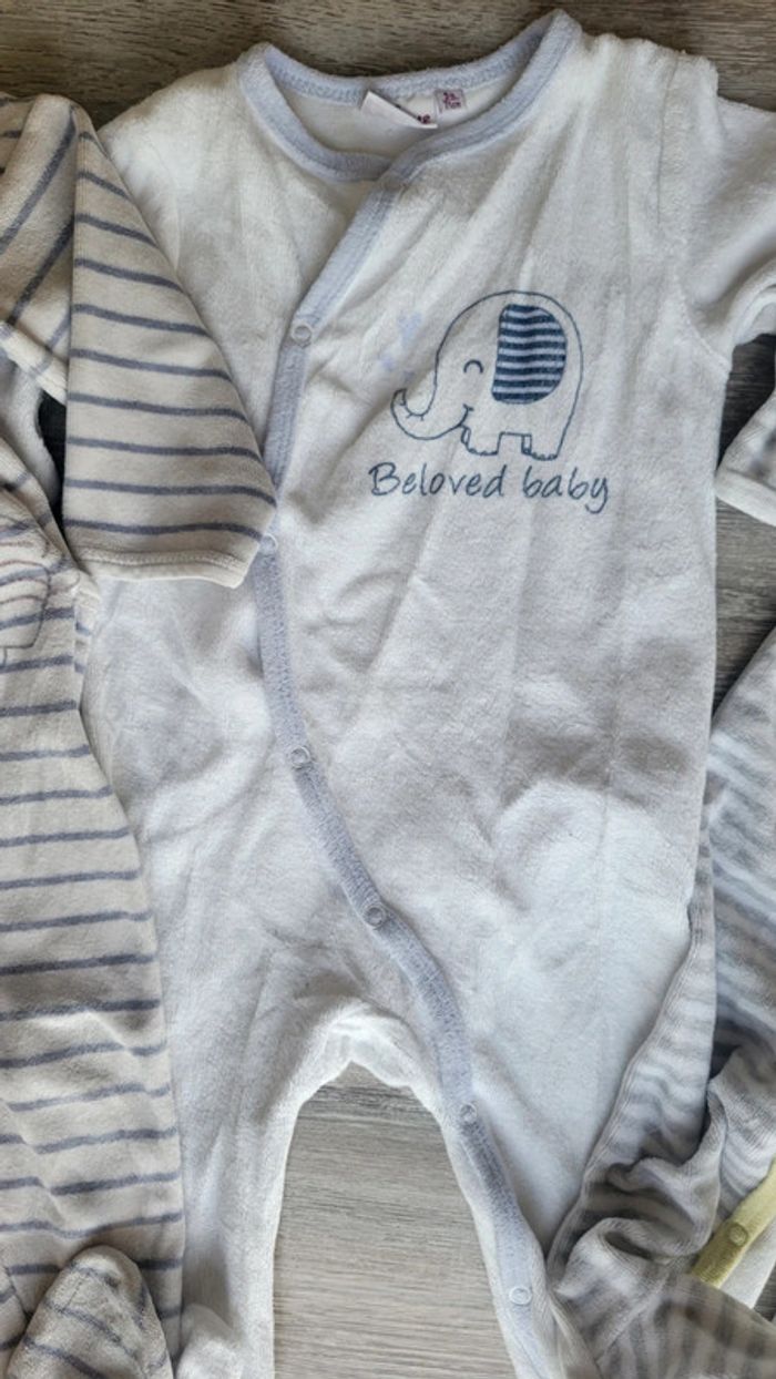 Grenouillère - photo numéro 3