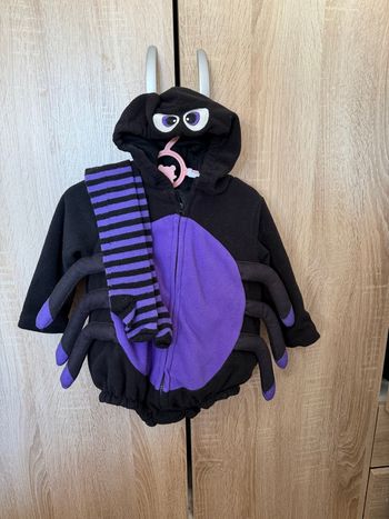 Costume araignée 