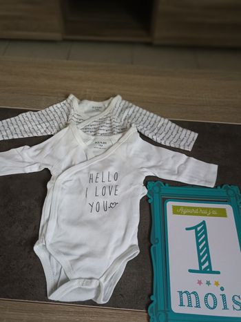 Lots de 2 bodys manches longues mixte