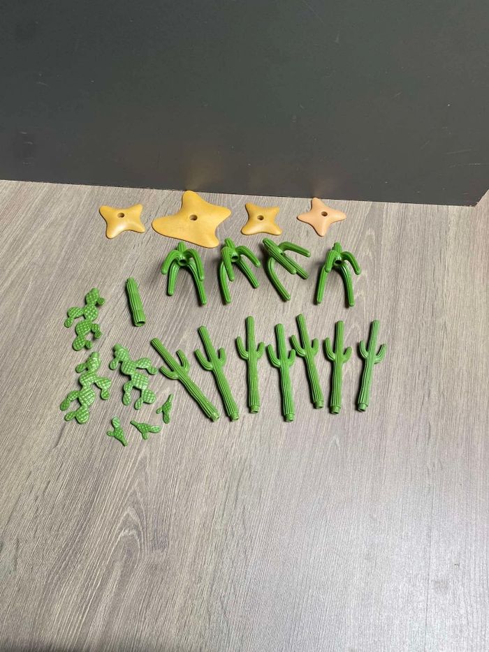 Lot de cactus