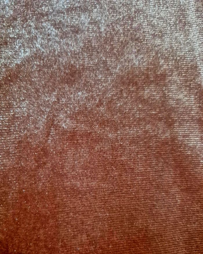 Joli haut en velours rasé - photo numéro 3