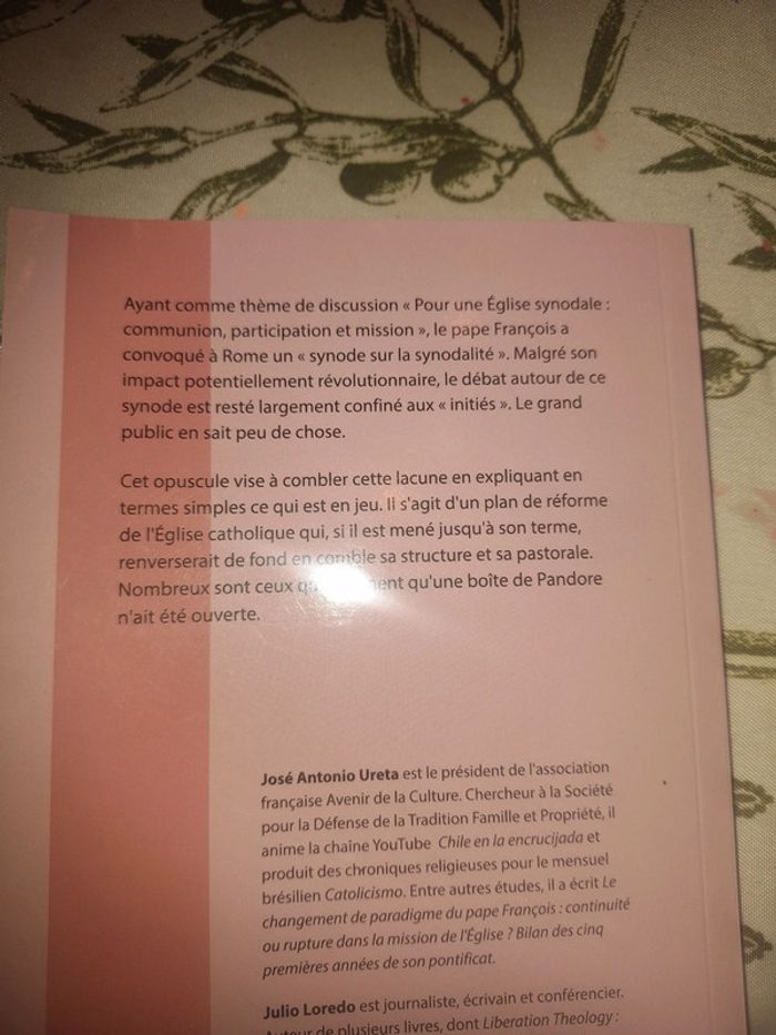 2023le processus synodal une boîte de pandore 100 questions réponses - photo numéro 2