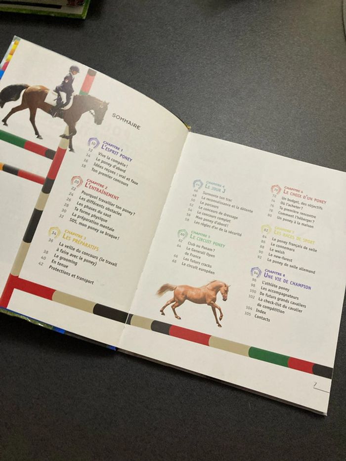 Poney de compétition équitation cheval livre Milan - photo numéro 3