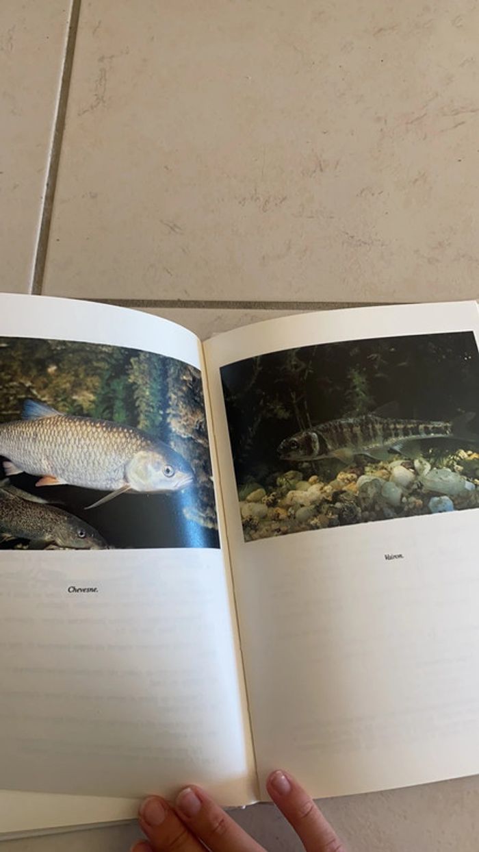 Toutes les pêches au coup - photo numéro 3