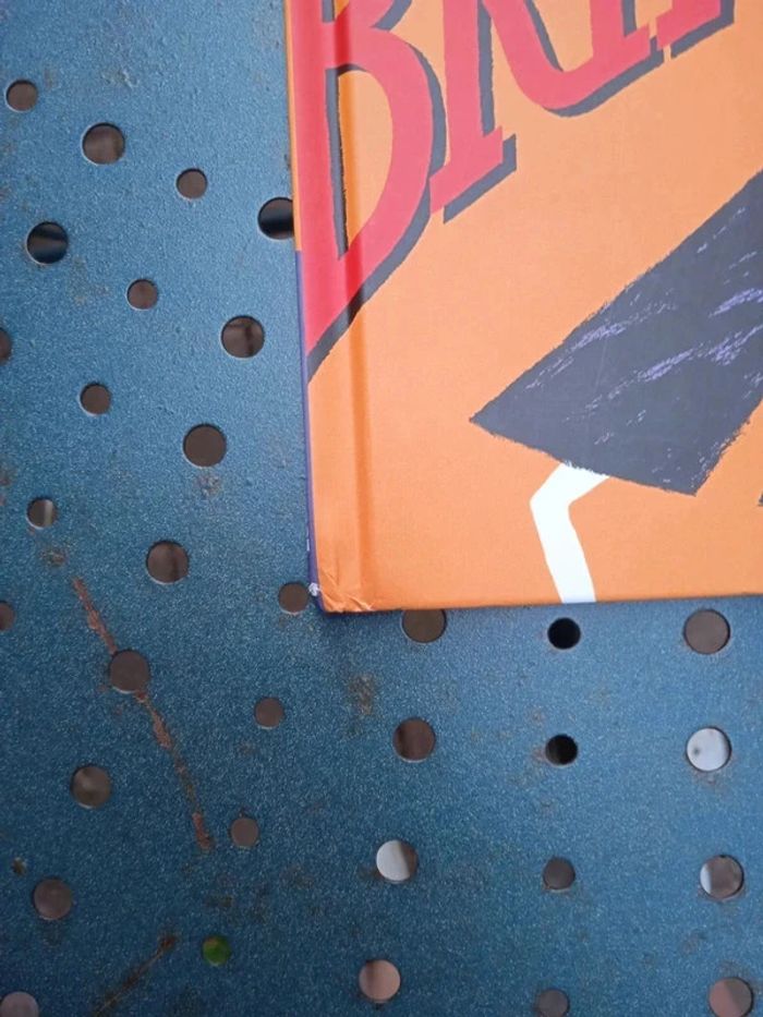 Livres mercredis à lire - photo numéro 7