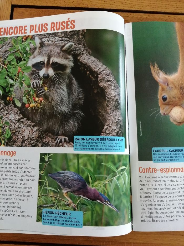 Revue wapiti - photo numéro 2