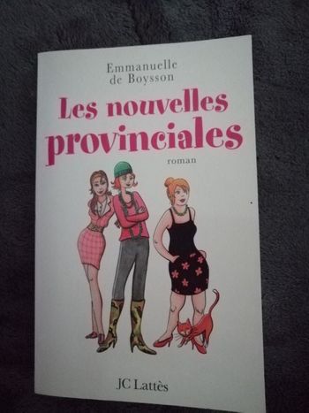 Roman Les nouvelles provinciales d'Emmanuelle De Boysson en bon état