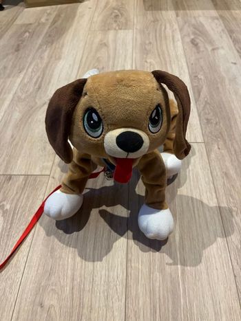 Chien toufou
