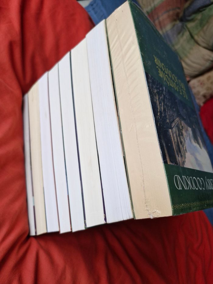 Saga L'épée de vérité ou Legend of the seeker - photo numéro 5