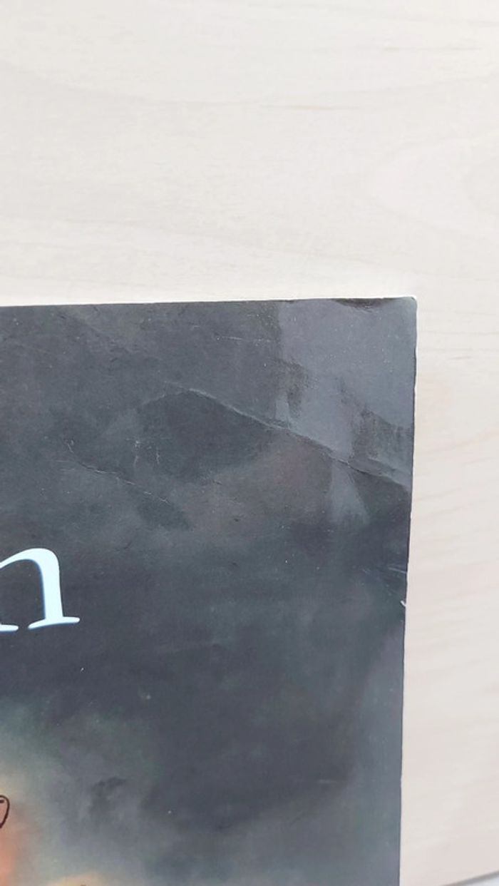 🌺 Livre (école des loisirs) : Lian - photo numéro 8