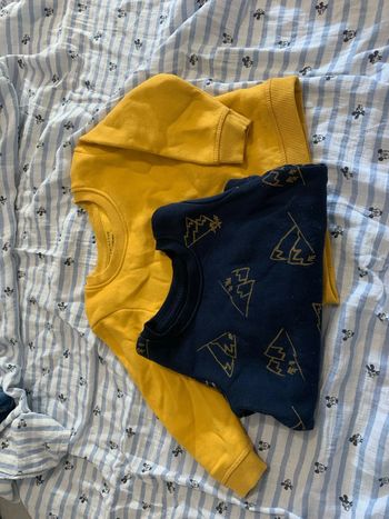 Lot de pull primark taille 12/18 mois