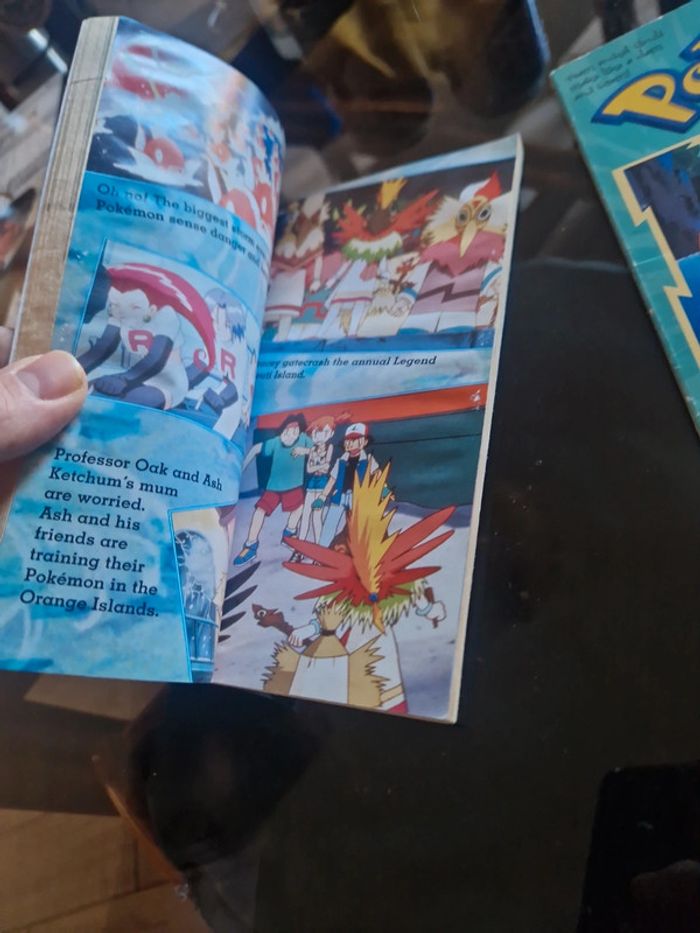 Livres pokemon vintage - photo numéro 7