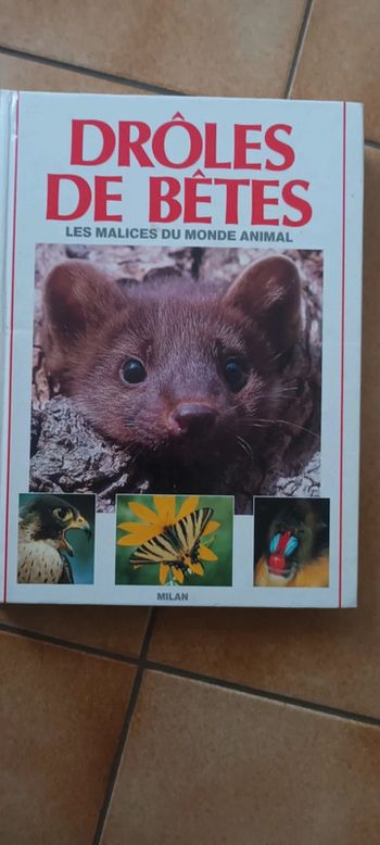 Livre drôles de betes